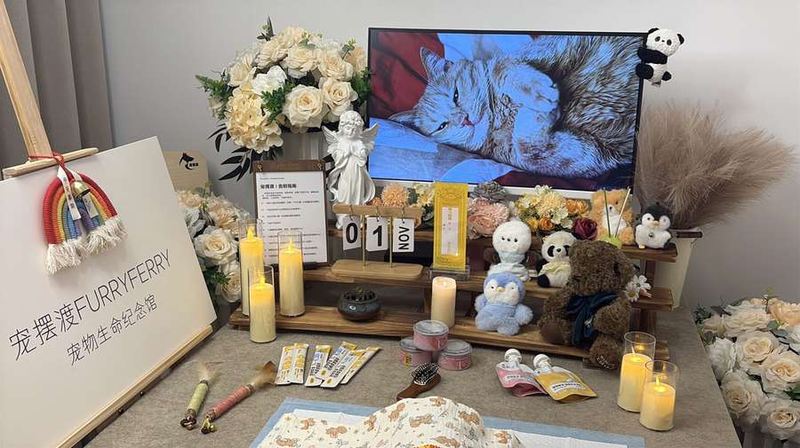 威海宠物单独火化
