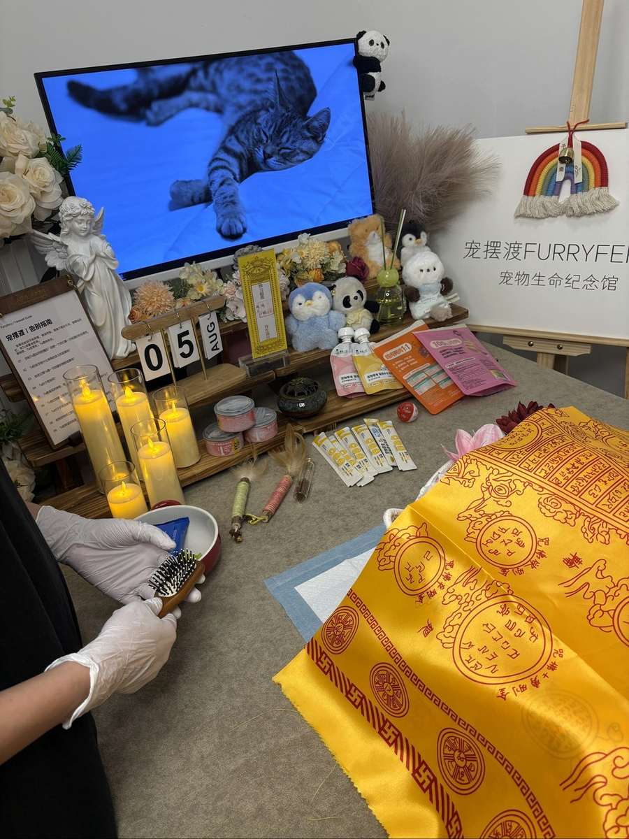 宠物告别仪式